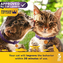 Load image into Gallery viewer, Zen Panther Calming Collar for Cats – Pheromone Cat Calm Collar - Anxiety Relief Lavender Scent - Reduces Stress – Adjustable 15” Relaxing Collar for Kitten – Stop Aggression and Anxious Behavior
