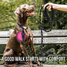 Load image into Gallery viewer, COOYOO 2 Pack Dog Leash 5 FT Heavy Duty - Comfortable Padded Handle - Reflective Dog Leash for Medium Large Dogs with Collapsible Pet Bowl
