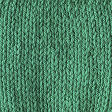 Load image into Gallery viewer, Lily Sugar 'N Cream The Original Solid Yarn, 2.5oz, Medium 4 Gauge, 100% Cotton - Mod Green - Machine Wash &amp; Dry
