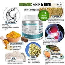 Load image into Gallery viewer, BEST HIP &amp; JOINT SUPPLEMENTS FOR DOGS: Product of USA- Natural Pain Relief &amp; Mobility + Аnti-inflammatory and Аnti-arthritic effects Maximum strength Glucosamine &amp; Chondroitin approx/170 Soft Chews
