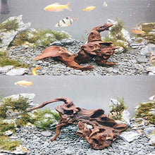 Load image into Gallery viewer, PINVNBY Natural Aquarium Driftwood Assorted Branches Reptile Ornament for Fish Tank Decoration Pack of 3

