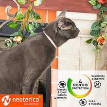 Load image into Gallery viewer, Rolf Club 3D Flea &amp; Worm Collar for Cats and Small Dogs - Flea Control and Tick Treatment - Better Than Oral Flea Control - Cat Worm Prevention for Tapeworms
