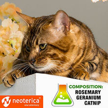 Load image into Gallery viewer, Relaxivet Pheromone Calming Spray for Cats and Dogs (50ml) with a Long-Lasting Calming Effect - #1 Spray for Stress Prevent and Relax - Anti-Anxiety Spray for Pets
