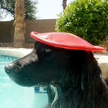 Load image into Gallery viewer, Nerf Dog Nylon Flyer Dog Toy, Frisbee, Lightweight, Durable and Water Resistant, Great for Beach and Pool, 9 inch diameter, for Medium/Large Breeds, Single Unit, Red
