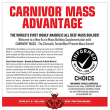 Load image into Gallery viewer, MuscleMeds Carnivor Mass Chocolate Big Steer 1250 Bucket, 15 Lb

