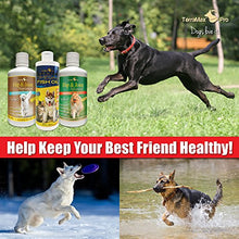 Load image into Gallery viewer, Concentrated Liquid Glucosamine for Dogs ? Advanced Hip and Joint Supplement with Chondroitin, MSM, Hyaluronic Acid and More ? Safe &amp; Natural Arthritis Pain Relief for Dogs ? 32 oz Bottle ? Made in USA! ?!

