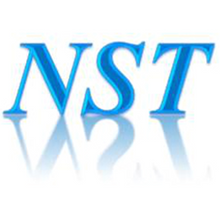 Load image into Gallery viewer, NST App
