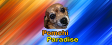 Load image into Gallery viewer, Pomchi Paradise - Dog Action Adventure Game
