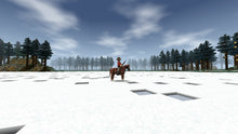 Load image into Gallery viewer, Survivalcraft 2
