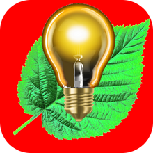 Load image into Gallery viewer, The Electric Game
