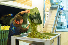 Load image into Gallery viewer, Olympian Myth Koroneiki Robust Extra Virgin Olive Oil - Polyphenol Rich (786 MG/KG) - Award Winning - 70X MORE Hydroxytyrosol Polyphenols - Early Harvest - Single Origin – Premium - Monovarietal - Cold Pressed - 750 ml (25.36 fl oz)
