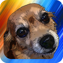 Load image into Gallery viewer, Pomchi Paradise - Dog Action Adventure Game
