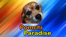 Load image into Gallery viewer, Pomchi Paradise - Dog Action Adventure Game
