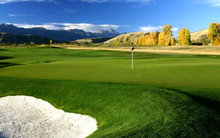 Load image into Gallery viewer, Golf Star: Free game
